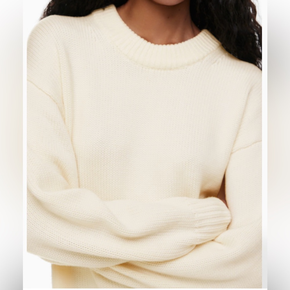 Aritzia Wilfred Rosemary Crewneck merino wool super soft sweater - Picture 6 of 17
